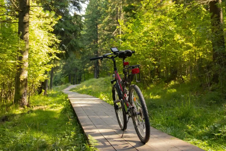 Una bicicletta ferma lungo un sentiero in mezzo ad un bosco